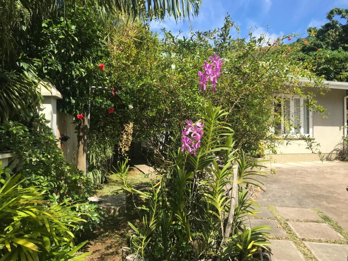 Sunbird Bungalow Anse Boileau Exterior photo